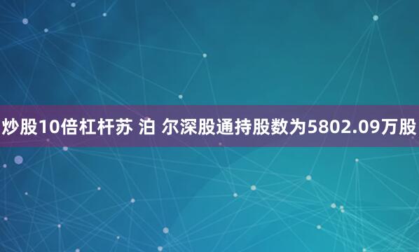 炒股10倍杠杆苏 泊 尔深股通持股数为5802.09万股