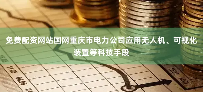 免费配资网站国网重庆市电力公司应用无人机、可视化装置等科技手段